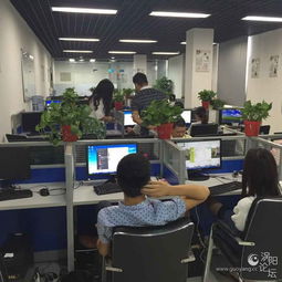 德祐商务信息咨询 诚邀精英，共筑未来